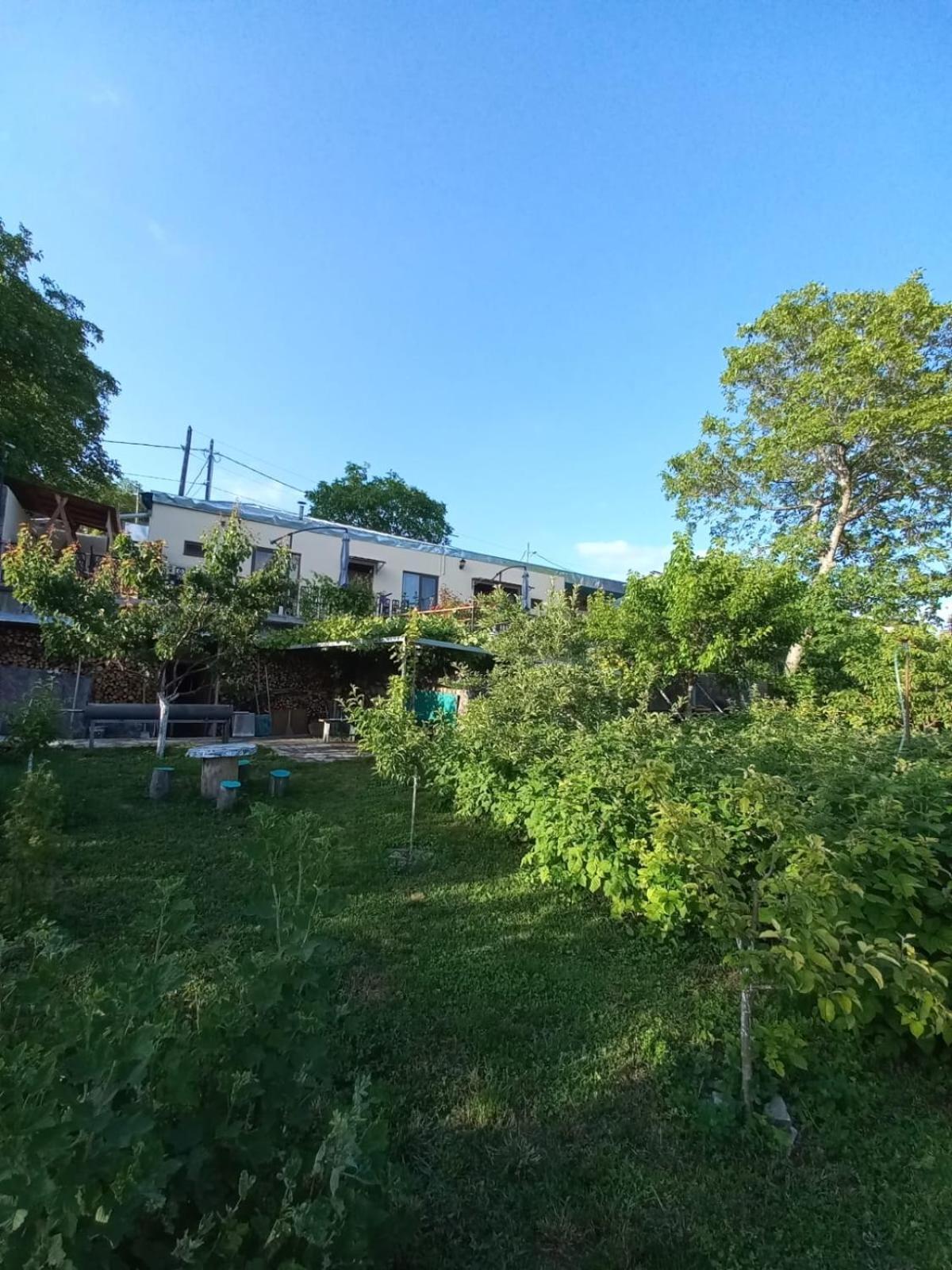 Ana-Maria Bnb Tat'ev Exterior foto