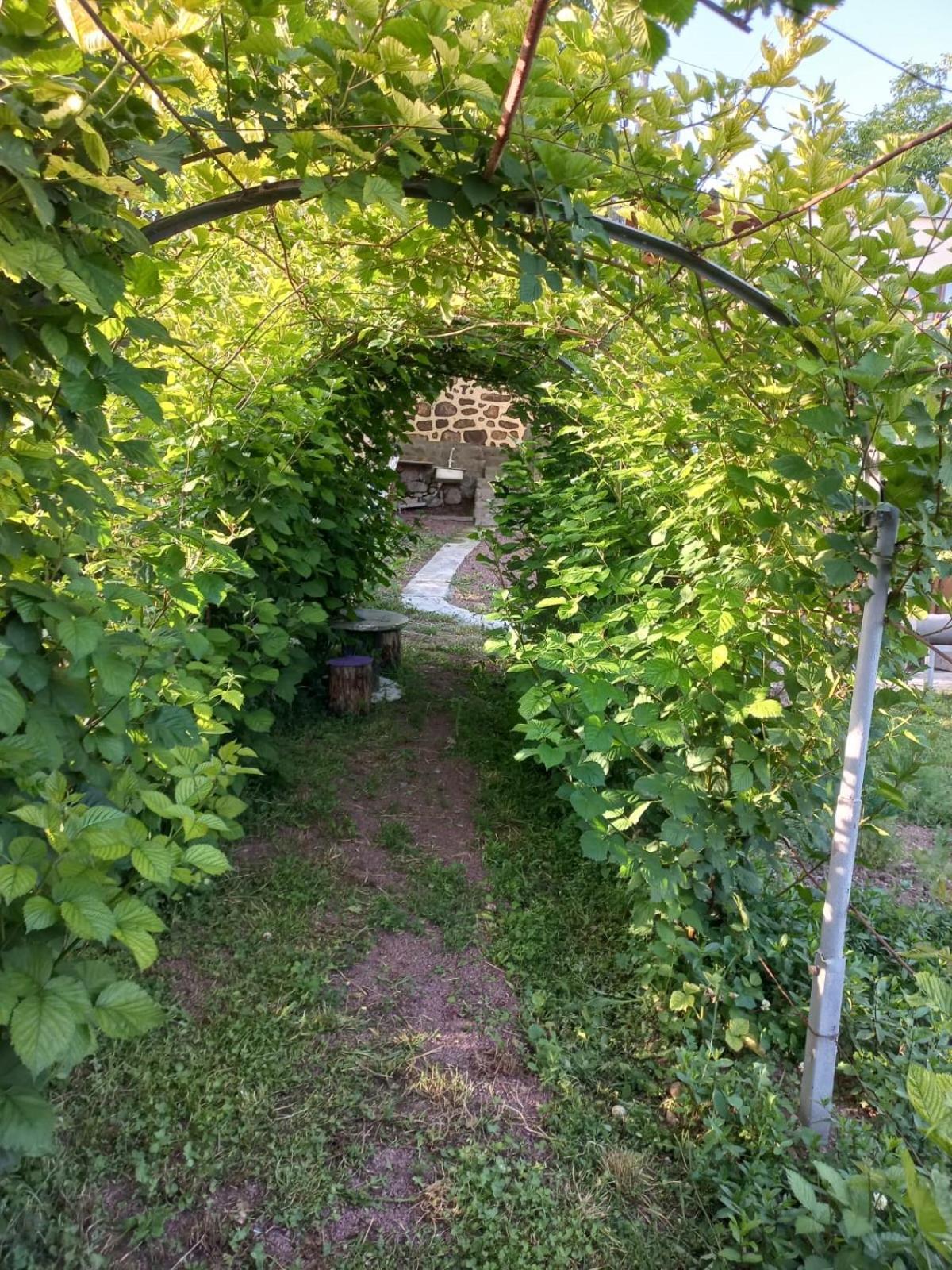 Ana-Maria Bnb Tat'ev Exterior foto
